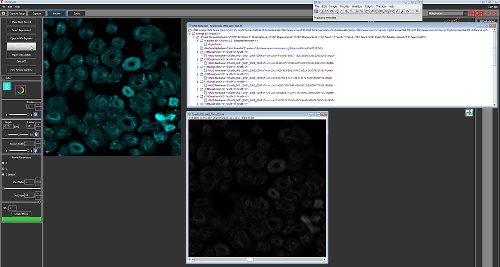 Matlab Imagej Thorlabs · ThorImage®LS