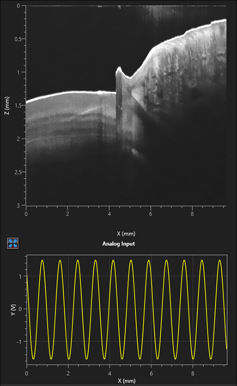 Thorlabs · ThorImage®OCT
