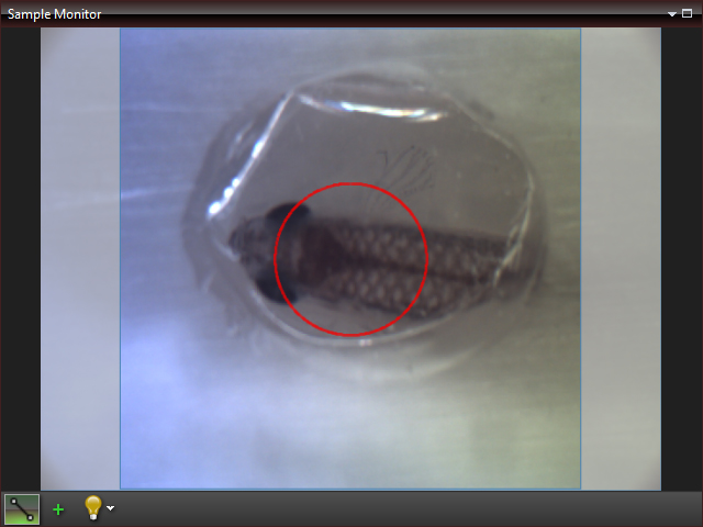 Live Software Oct Thorlabs · ThorImage®OCT