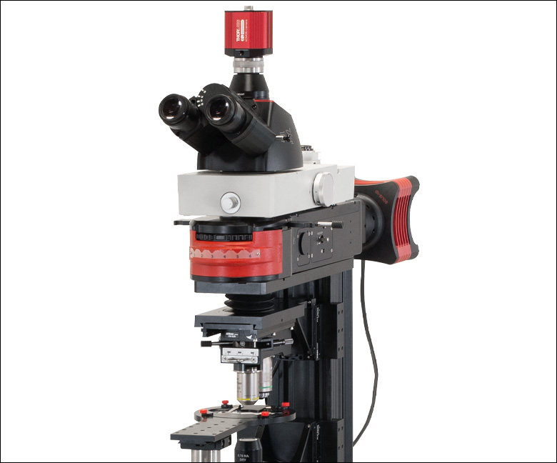 Thorlabs · Widefield Viewing Modules for DIY Cerna® Systems