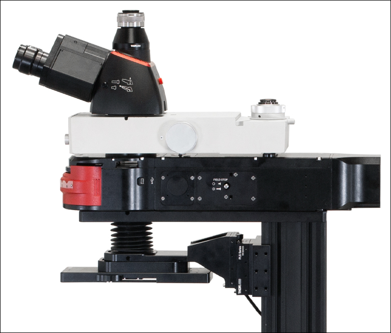 Thorlabs · Widefield Viewing Modules for DIY Cerna® Systems