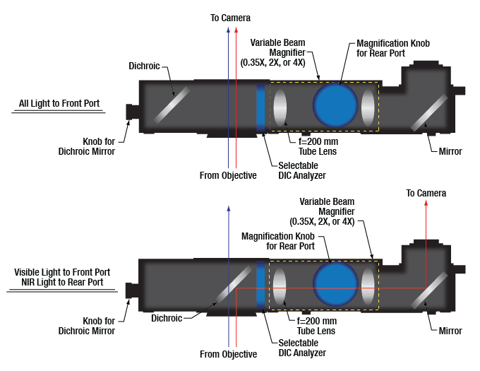 Thorlabs · Widefield Viewing Modules for DIY Cerna® Systems