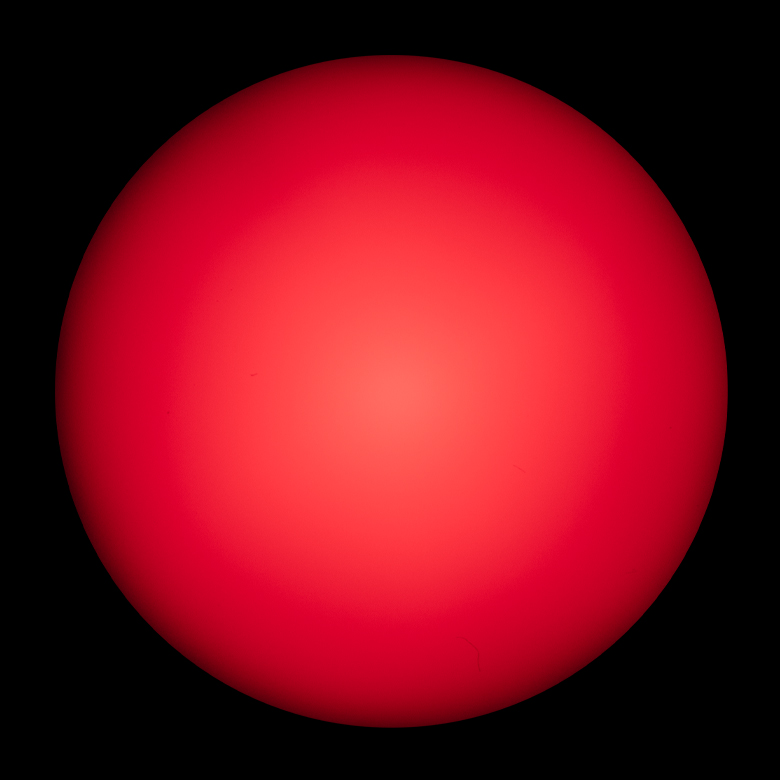Thorlabs · Cage-Compatible Diffuse Backlight LEDs