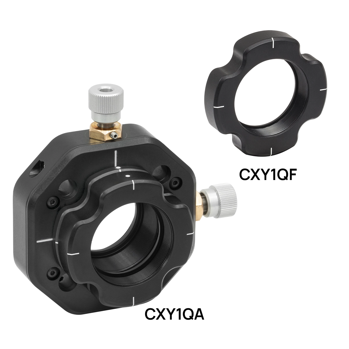 M.T ベネトン B197 J.アレジ 翼端盤 M.T様専用 ベネトン B197 J.アレジ 翼端盤 - メルカリ