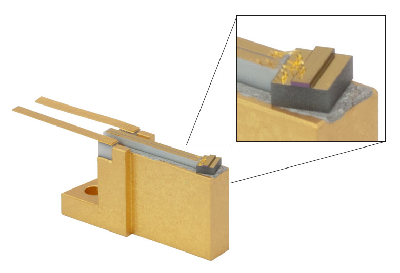 Thorlabs · SAF Gain Chips on Submounts