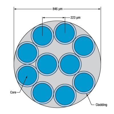 Thorlabs · Bifurcated Fiber Bundles: 19 Fibers