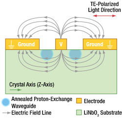 Thorlabs · LN変調器(ファイバー結合型電気光学(EO)変調器)、830 nm