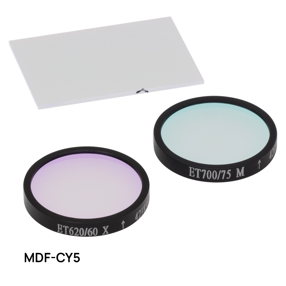 Thorlabs · 蛍光イメージングフィルタ