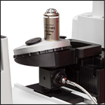 Thorlabs · Adapters for Nikon Eclipse Ti Microscopes