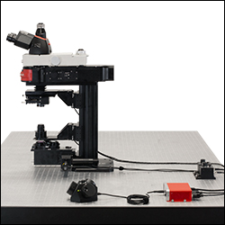 Thorlabs · Cerna® Microscope for Epi-Fluorescence and DIC in the ...