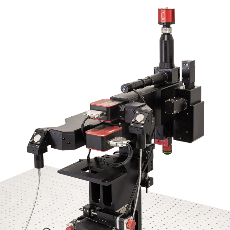 Thorlabs · 多光子顕微鏡 Bergamo® IIIシリーズ