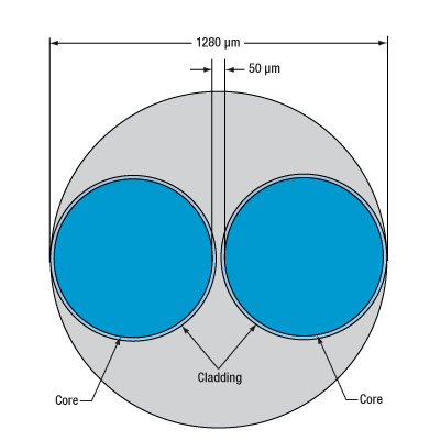 ファイバー束 Thorlabs · Bifurcated Fiber Bundles: 2 Fibers