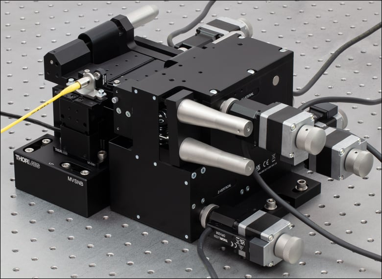 ステーシ　ラブラット　6.0 ステーシ ラブラット 6.0