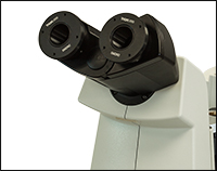 Thorlabs · Adapters for Nikon Eclipse Ti2 Microscopes