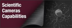Thorlabs · 2.1 MP sCMOS Scientific Cameras
