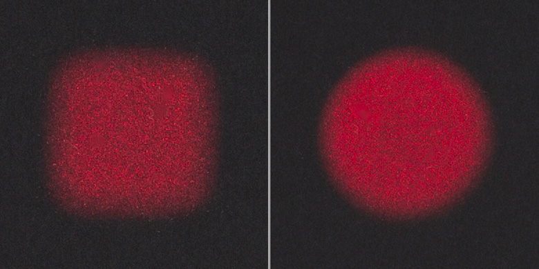 Thorlabs · Square-Core, Step-Index, Multimode Fiber