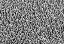 UV Fused Silica Textured Broadband Antireflective Windows